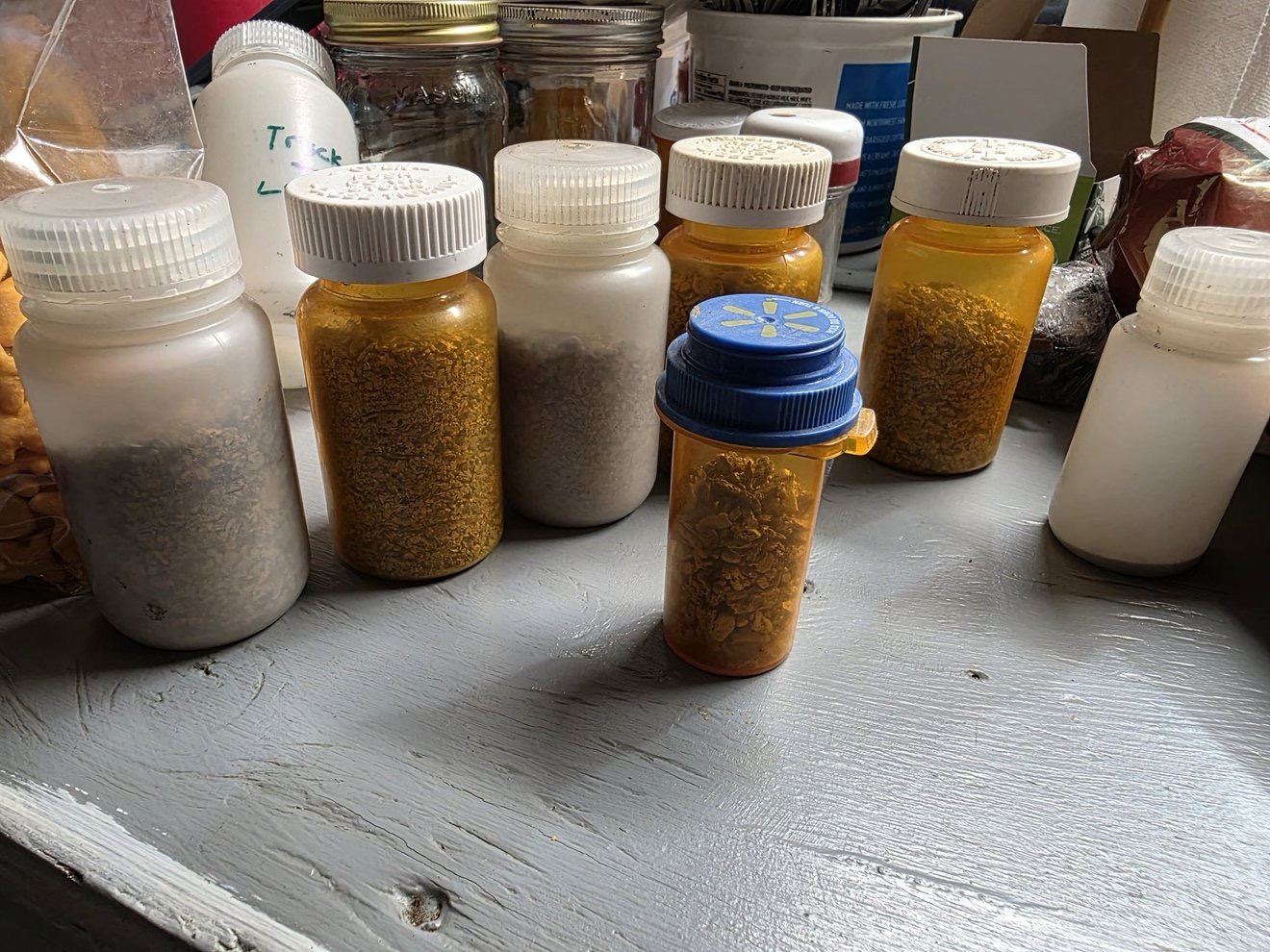 Small jars filled with gold-bearing concentrates.