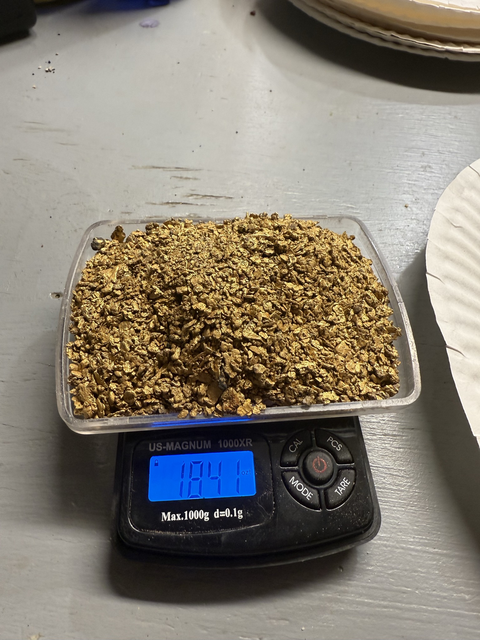 Large tray of paydirt or concentrates on a scale.